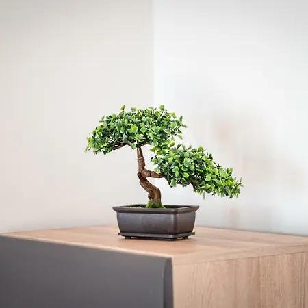 Apartment Ana Split